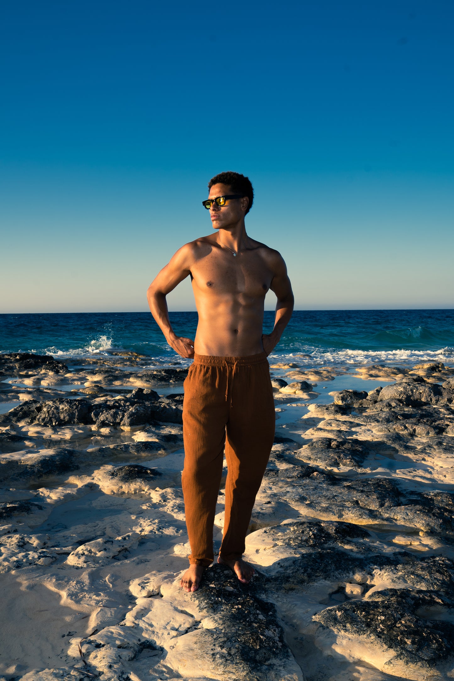 Man Linen Pants - Brown