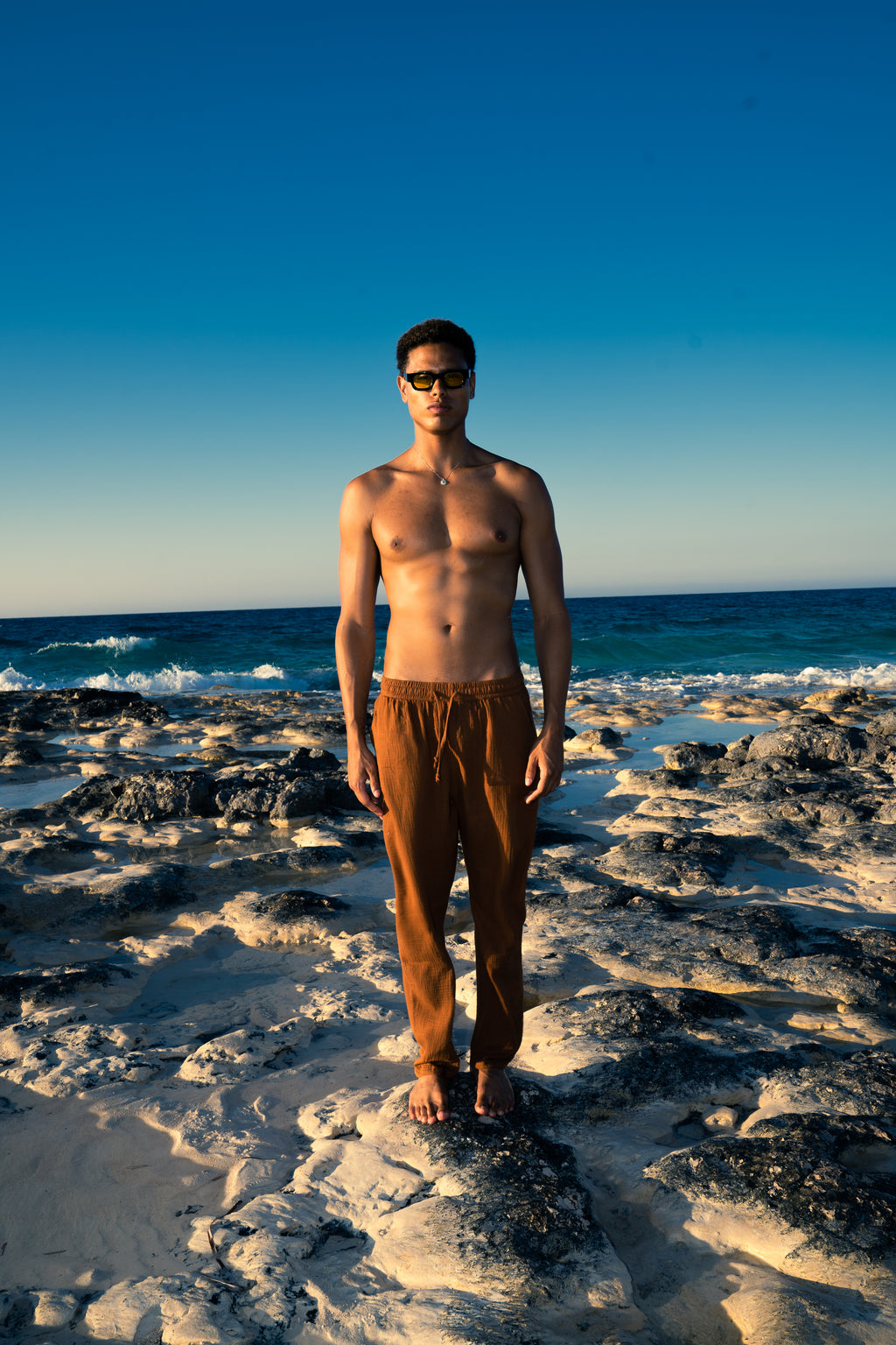 Man Linen Pants - Brown