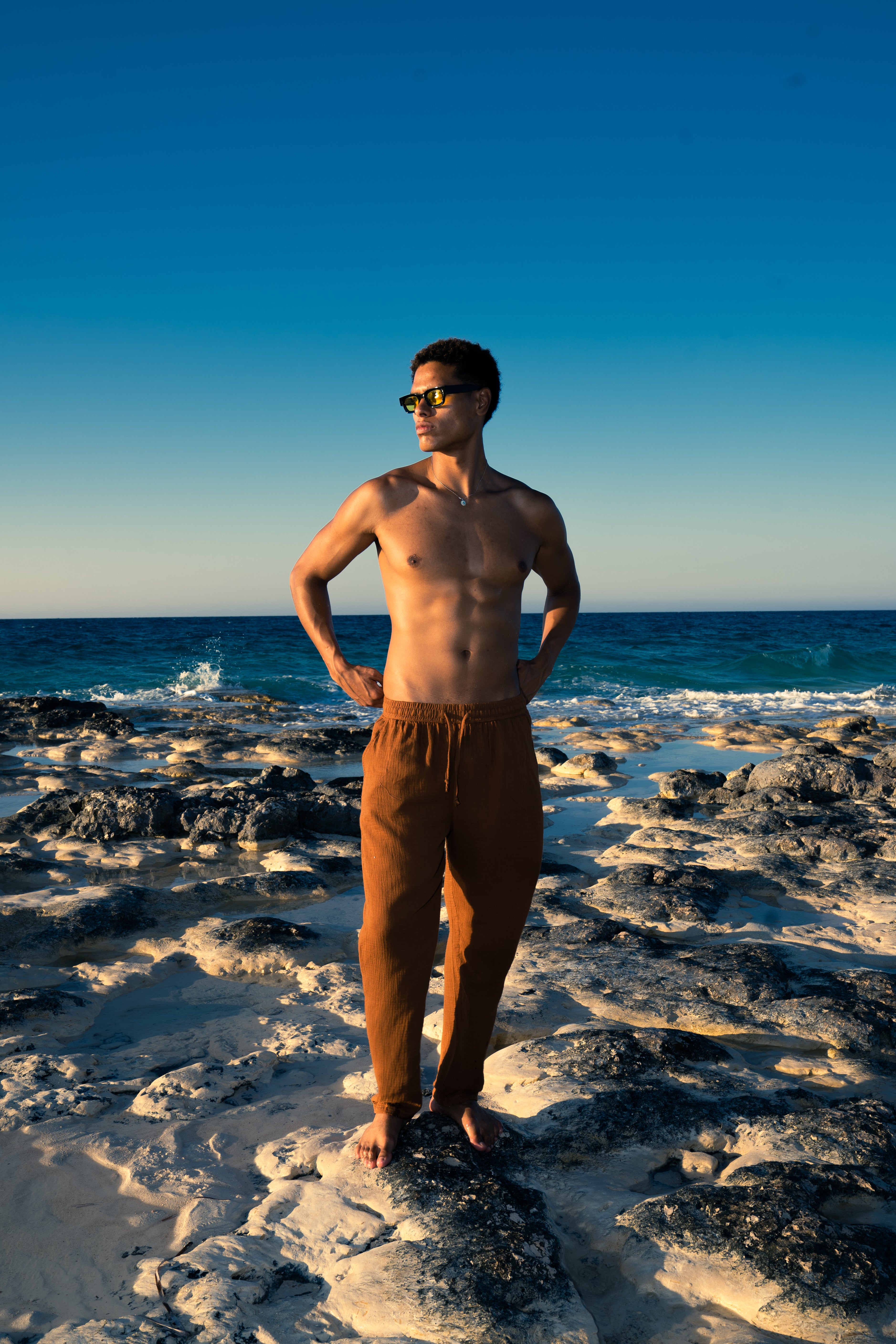 Man Linen Pants - Brown