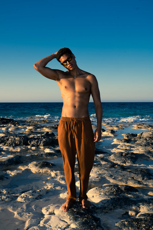 Man Linen Pants - Brown